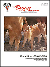 Cover image of Volume 41, No. 1 of the Bovine Practitioner: a photo of a calf standing behind a cow, peeking out from underneath her tail. Cattle are a burnished copper-gold color, possibly Limousin.