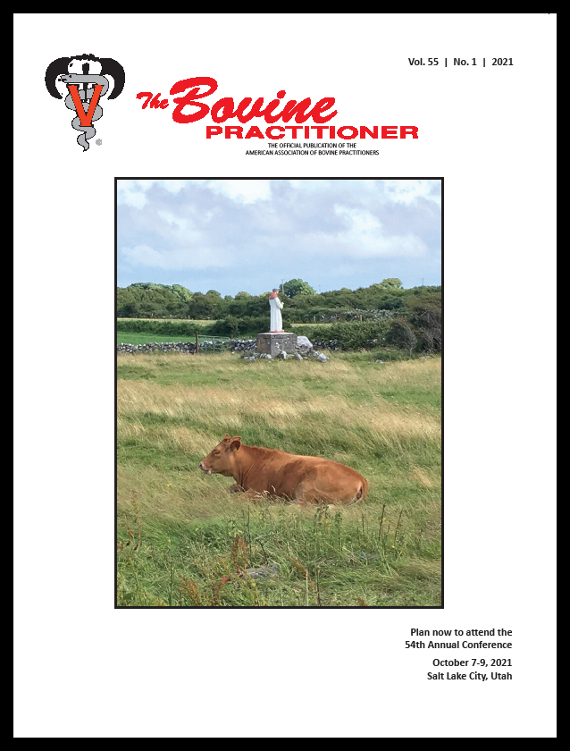 Cover image of 55th Volume, No. 1 of the Bovine Practitioner: a brown cow rests in a windblown field with a statue of a saint in the background. Photo taken by Dr. Bob Smith near the west coast of Ireland.